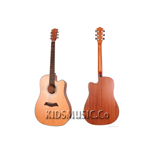 GUITAR-ACOUSTIC-SUNNY-1041